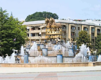 Сдача отчетности в Грузии