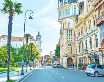 Бухучет в Грузии