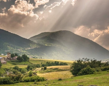 Открыть Payoneer account