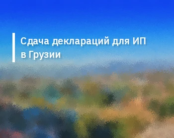 Сдача деклараций для ИП в Грузии