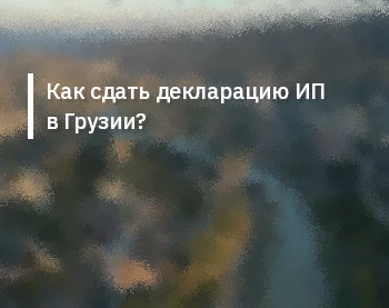 Как сдать декларацию ИП в Грузии?