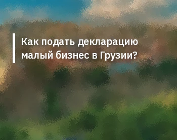Как подать декларацию малый бизнес в Грузии?