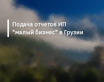 Подача отчетов ИП "малый бизнес" в Грузии
