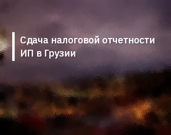 Сдача налоговой отчетности ИП в Грузии