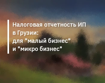 Налоговая отчетность ИП в Грузии: для "малый бизнес" и "микро бизнес"