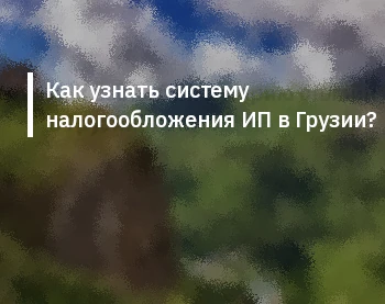 Как узнать систему налогообложения ИП в Грузии?