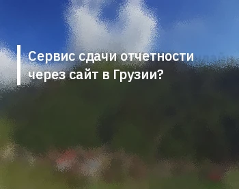 Сервис сдачи отчетности через сайт в Грузии?