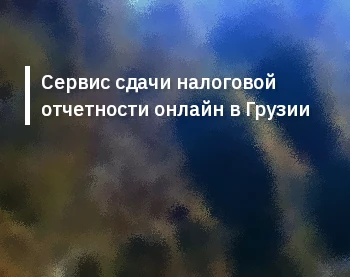 Сервис сдачи налоговой отчетности онлайн в Грузии