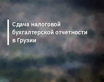 Сдача налоговой бухгалтерской отчетности в Грузии