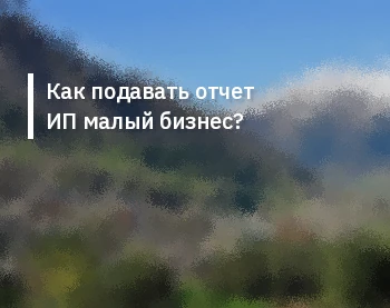 Как подавать отчет ИП малый бизнес?