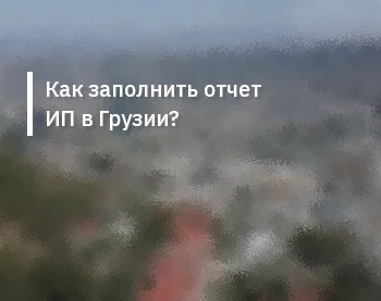 Как заполнить отчет ИП в Грузии?