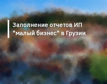Заполнение отчетов ИП "малый бизнес" в Грузии