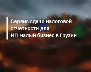 Сервис сдачи налоговой отчетности для ИП малый бизнес в Грузии
