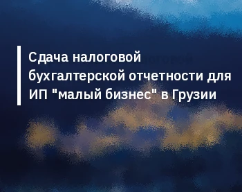 Сдача налоговой бухгалтерской отчетности для ИП "малый бизнес" в Грузии
