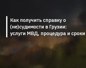 Как получить справку о (не)судимости в Грузии: услуги МВД, процедура и сроки