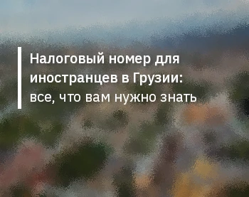 Налоговый номер для иностранцев в Грузии: все, что вам нужно знать