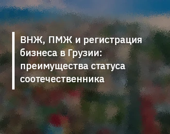 ВНЖ, ПМЖ и регистрация бизнеса в Грузии: преимущества статуса соотечественника