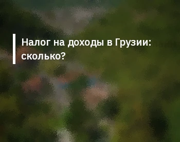 Налог на доходы в Грузии: сколько?