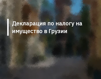 Декларация по налогу на имущество в Грузии