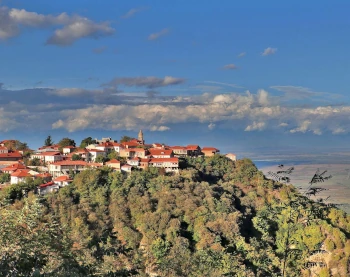 Открыть бизнес в Грузии