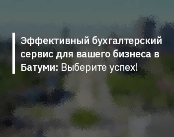 Эффективный бухгалтерский сервис для вашего бизнеса в Батуми: Выберите успех!