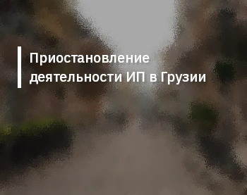 Приостановление деятельности ИП в Грузии