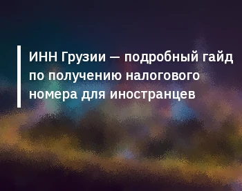 ИНН Грузии — подробный гайд по получению налогового номера для иностранцев