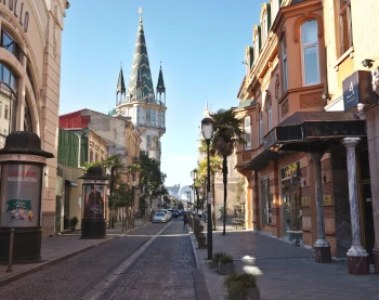 Открыть ООО в Батуми