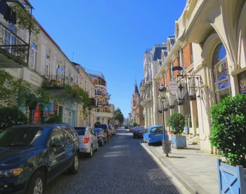 Сделать ООО в Батуми