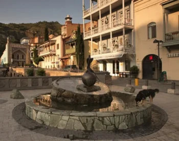 Открытие компании в Тбилиси